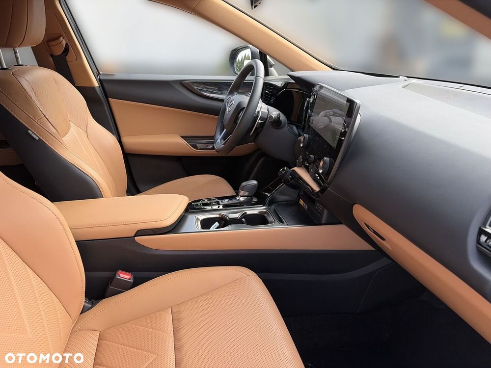 Lexus NX - 15