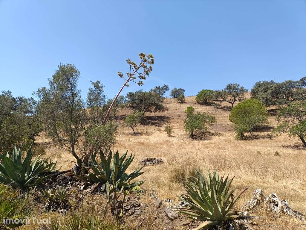 Terreno rústico no Malhão em Castro Marim, Algarve - Grande imagem: 5/10