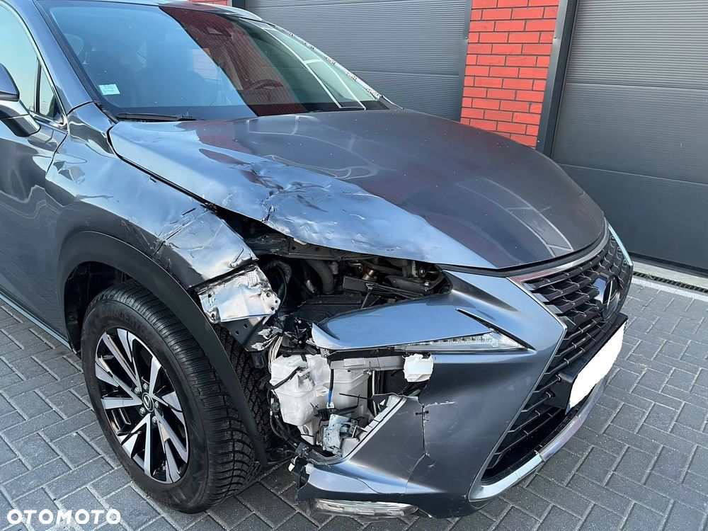 Lexus NX 300h - 29