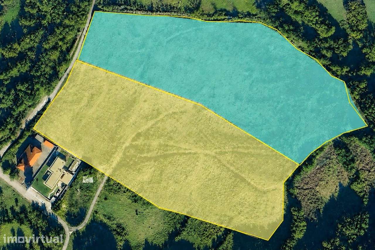 Terreno com 3 hectares em Ribeiros - Grande imagem: 2/2