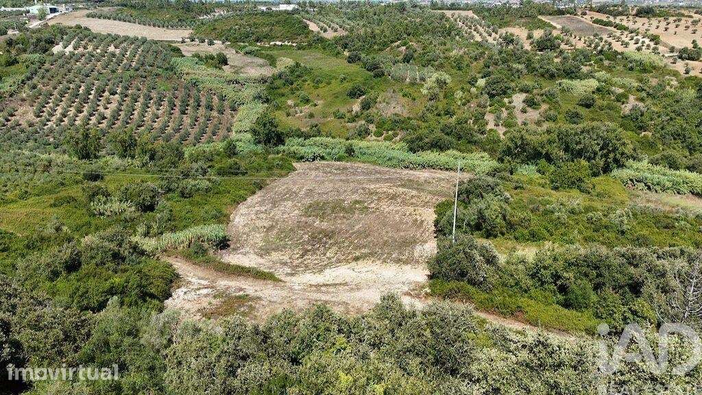 Terreno Agrícola em Azambujeira e Malaqueijo - Grande imagem: 4/8