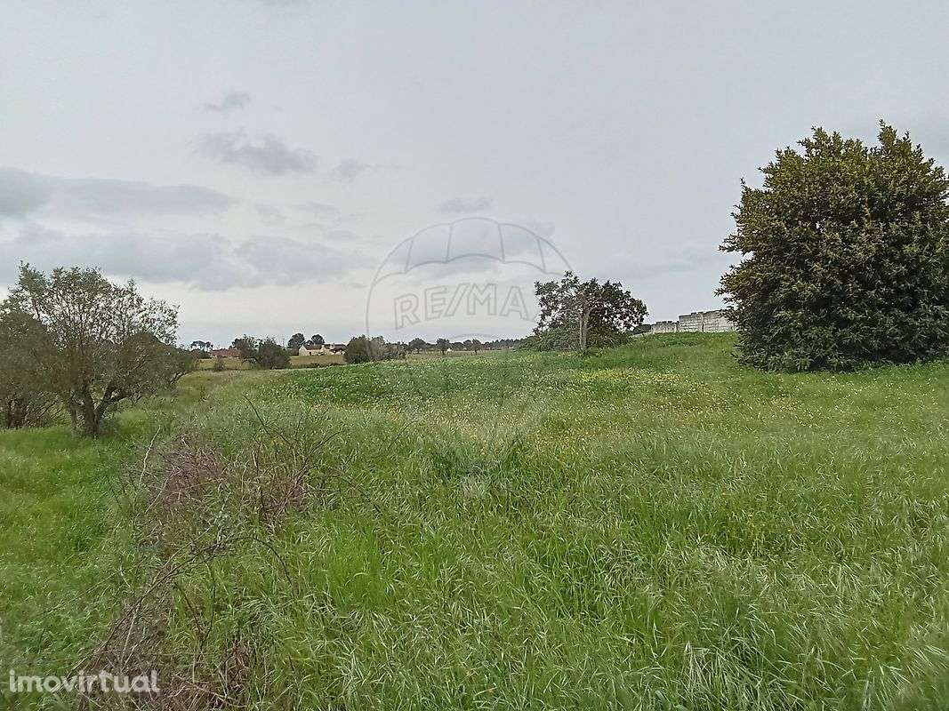 Terreno  para venda - Grande imagem: 4/12