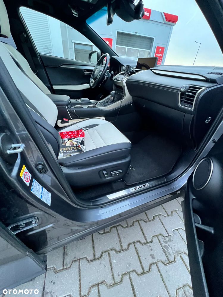 Lexus NX 300h F Sport AWD - 17