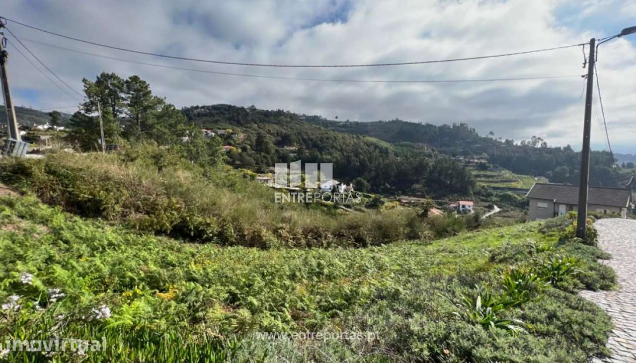 Venda Terreno, Santa Leocádia e Mesquinhata, Baião - Grande imagem: 2/30