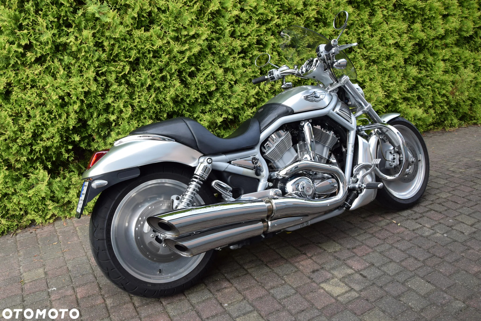 Harley-Davidson Softail V-Rod - 2