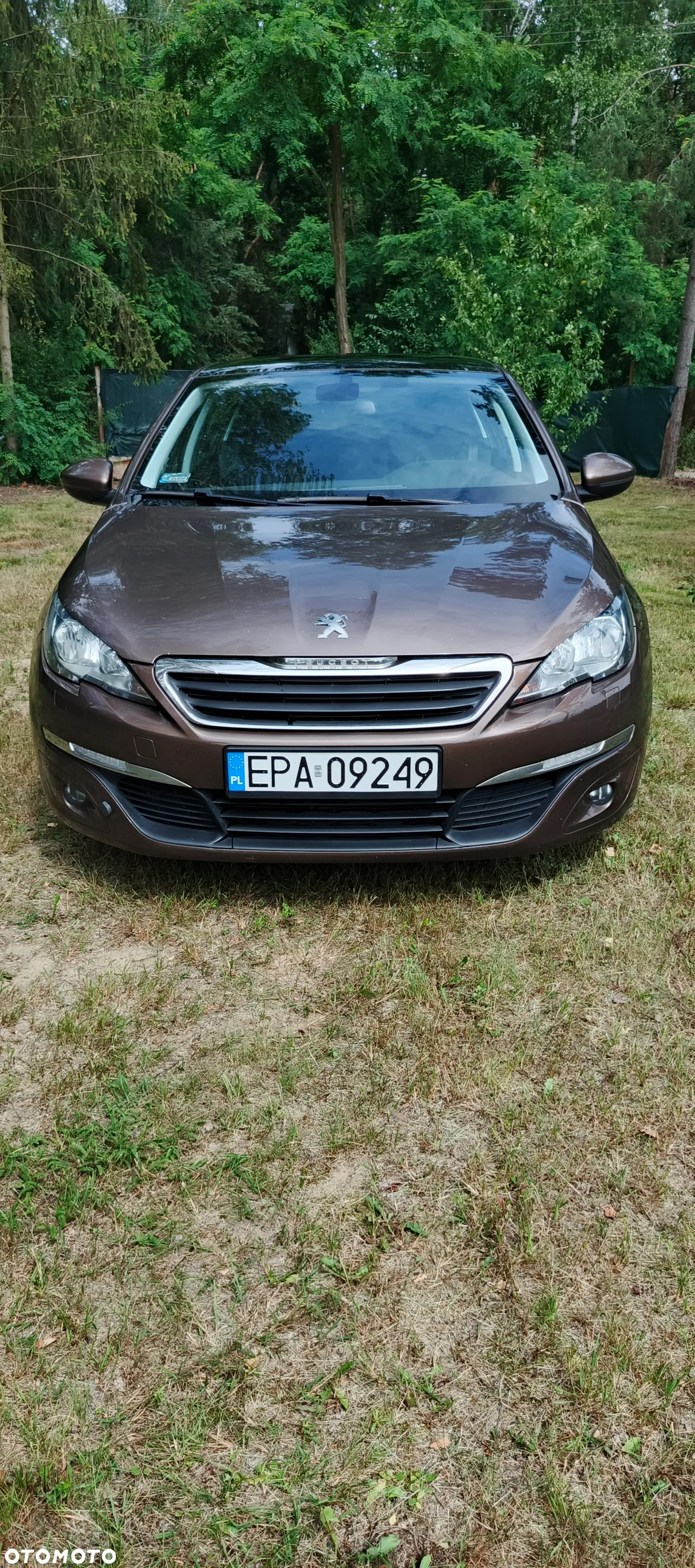 Peugeot 308 - 2