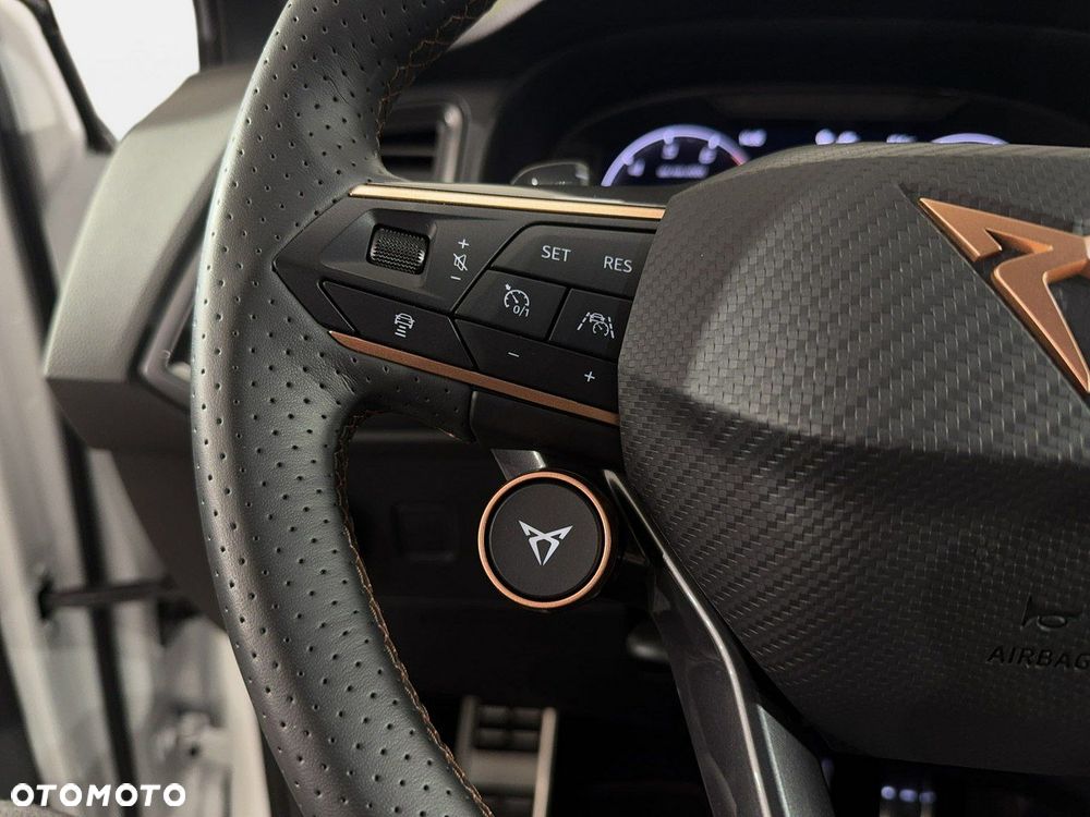 Cupra Ateca - 20