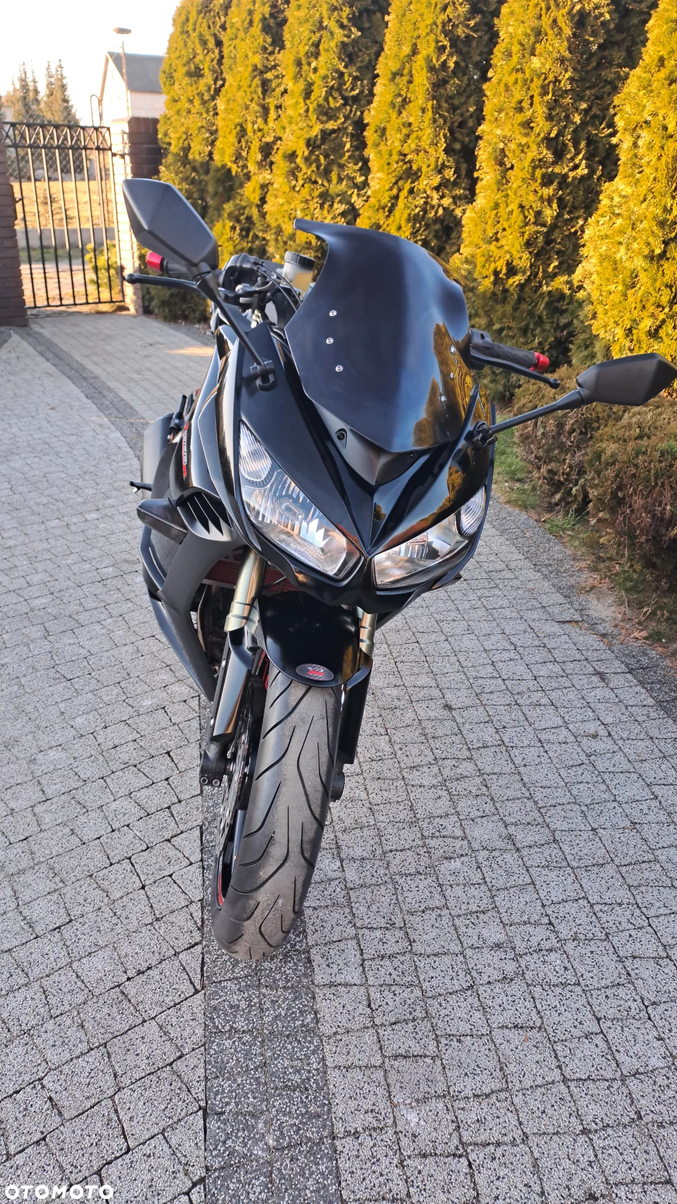 Kawasaki Z - 7