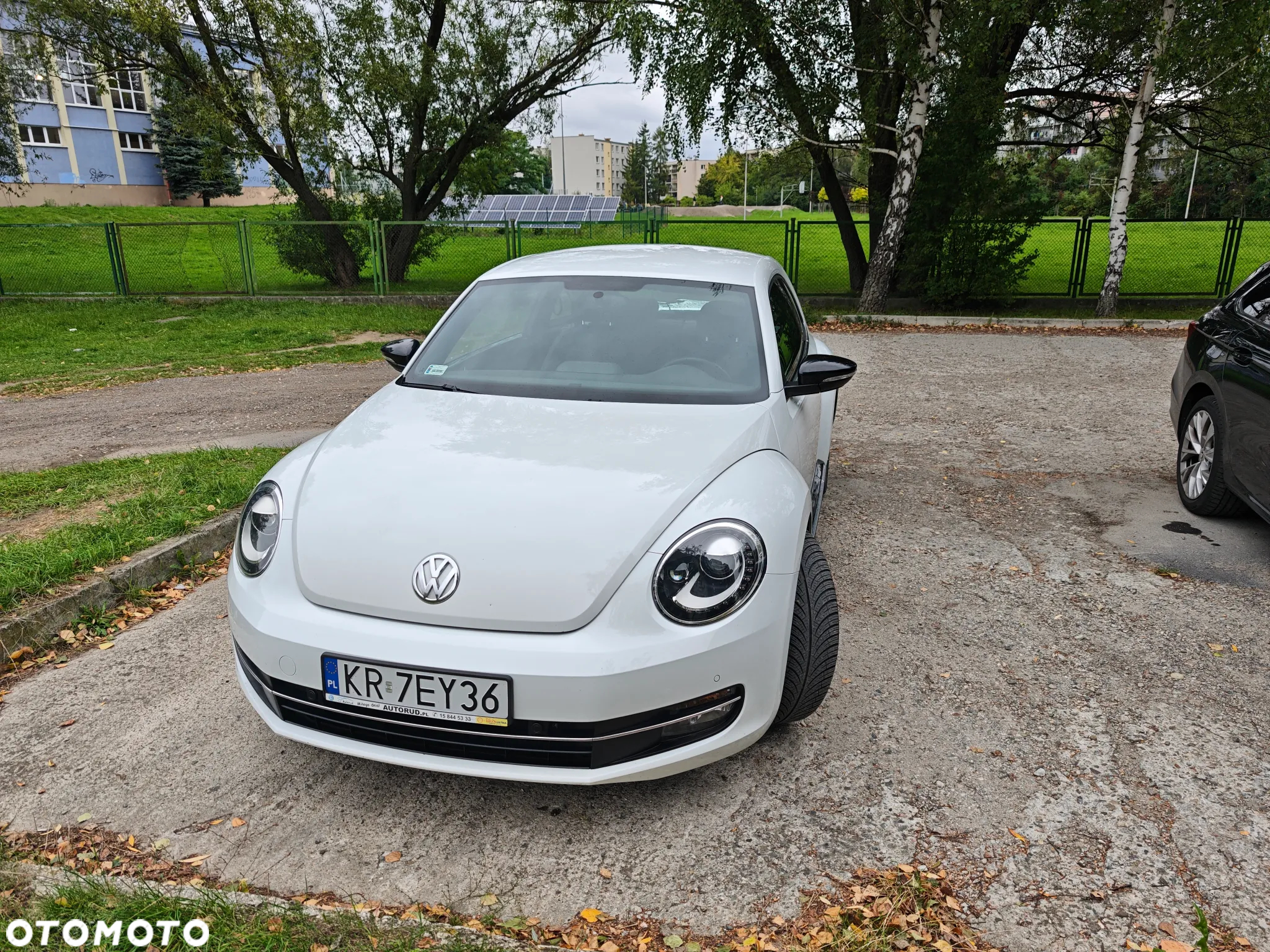 Volkswagen Beetle - 5