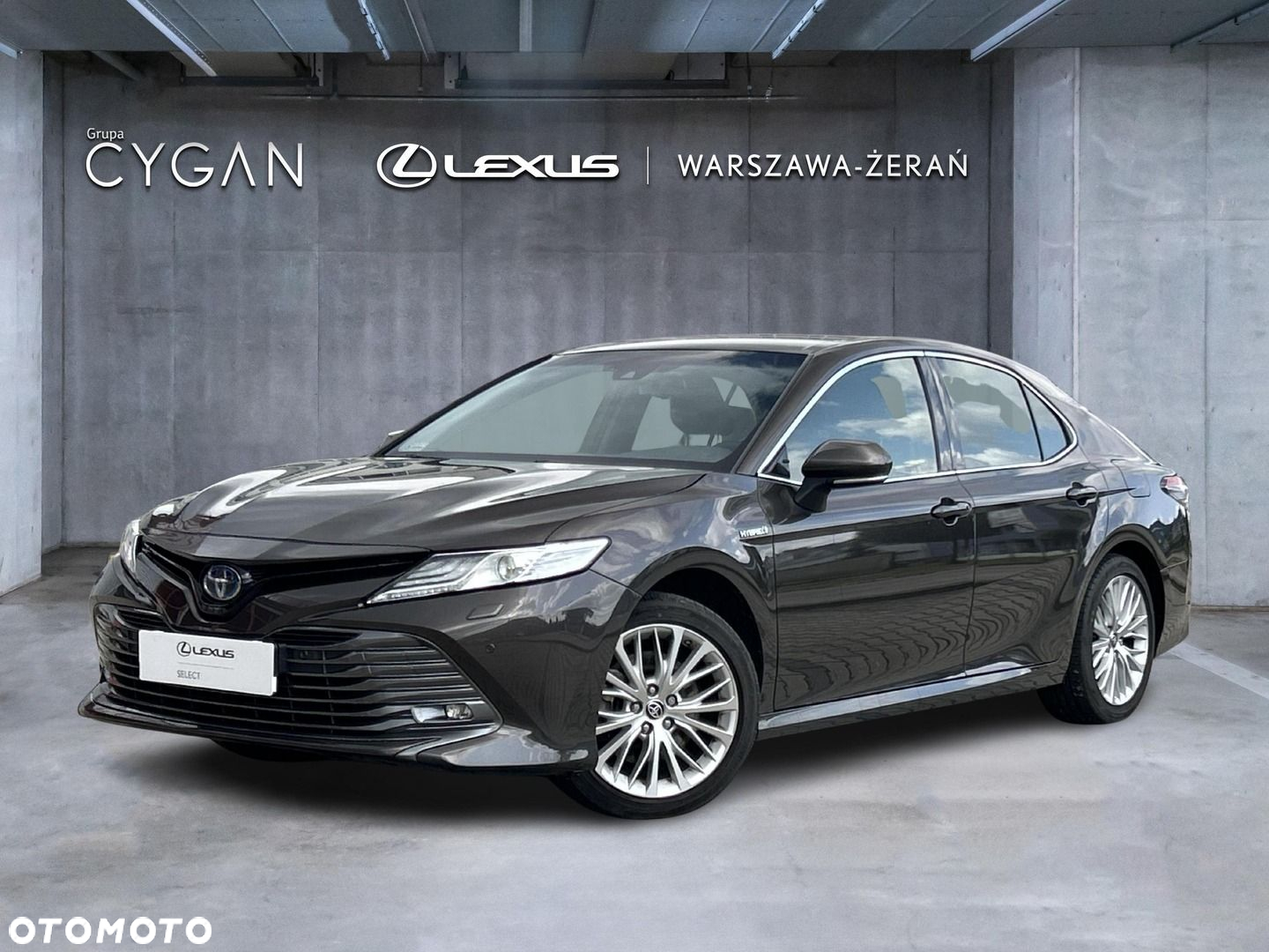 Toyota Camry - 2