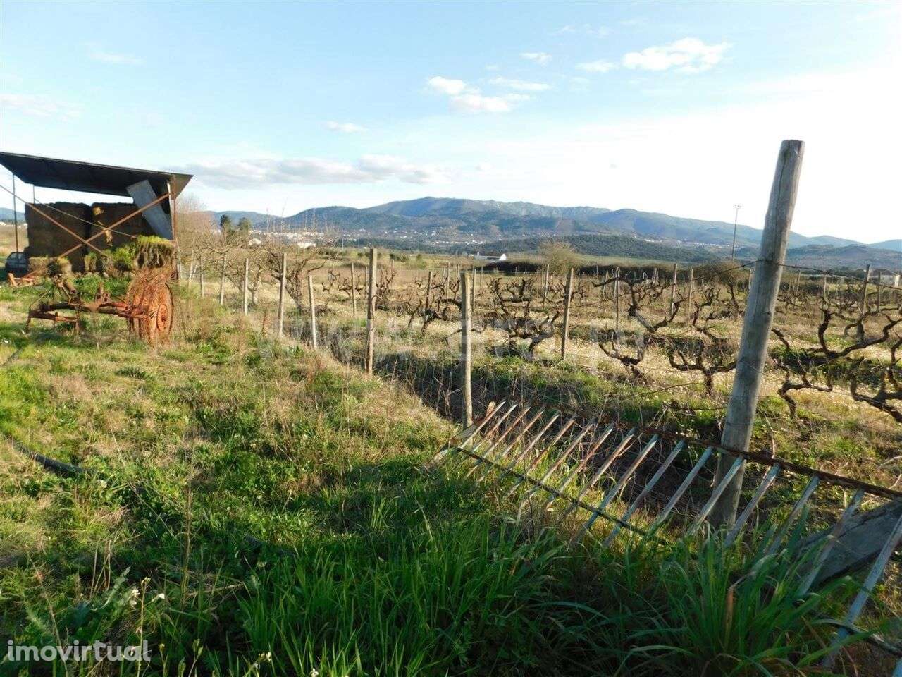 Terreno / Fundão, Telhado - Grande imagem: 4/9