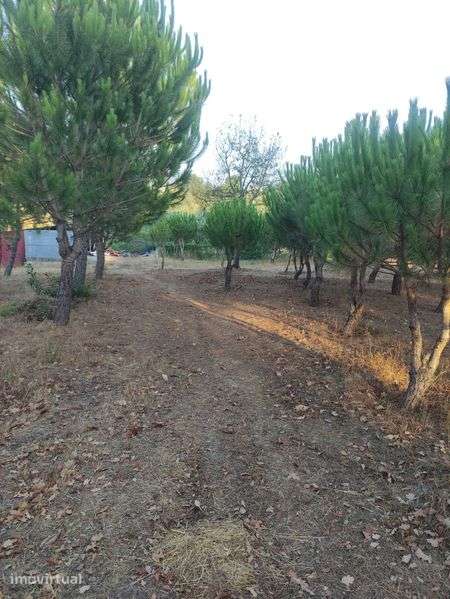Terreno/Quinta urbanizavel - Grande imagem: 5/8