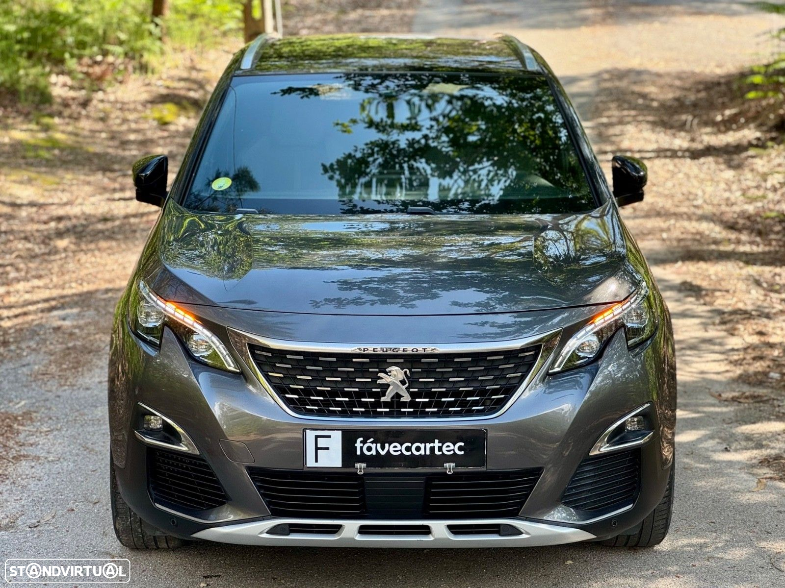 Peugeot 3008 1.6 BlueHDi GT Line Grip Control EAT6 - 18