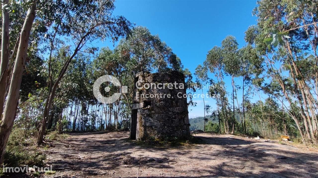 Moinho histórico em Guimarães - Grande imagem: 2/12