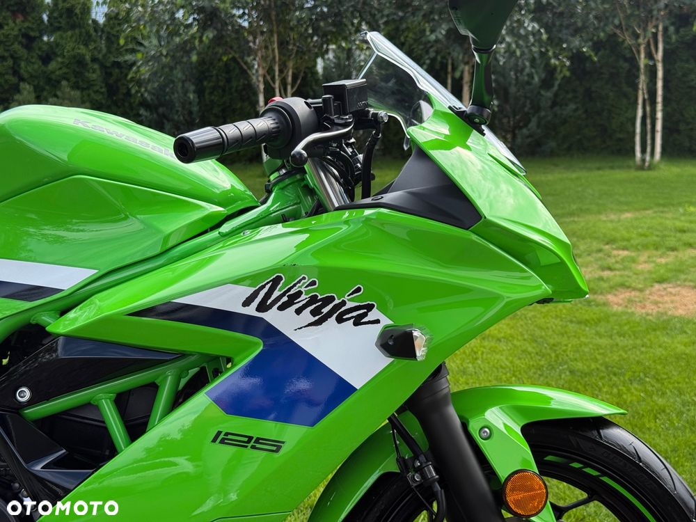 Kawasaki Ninja - 21