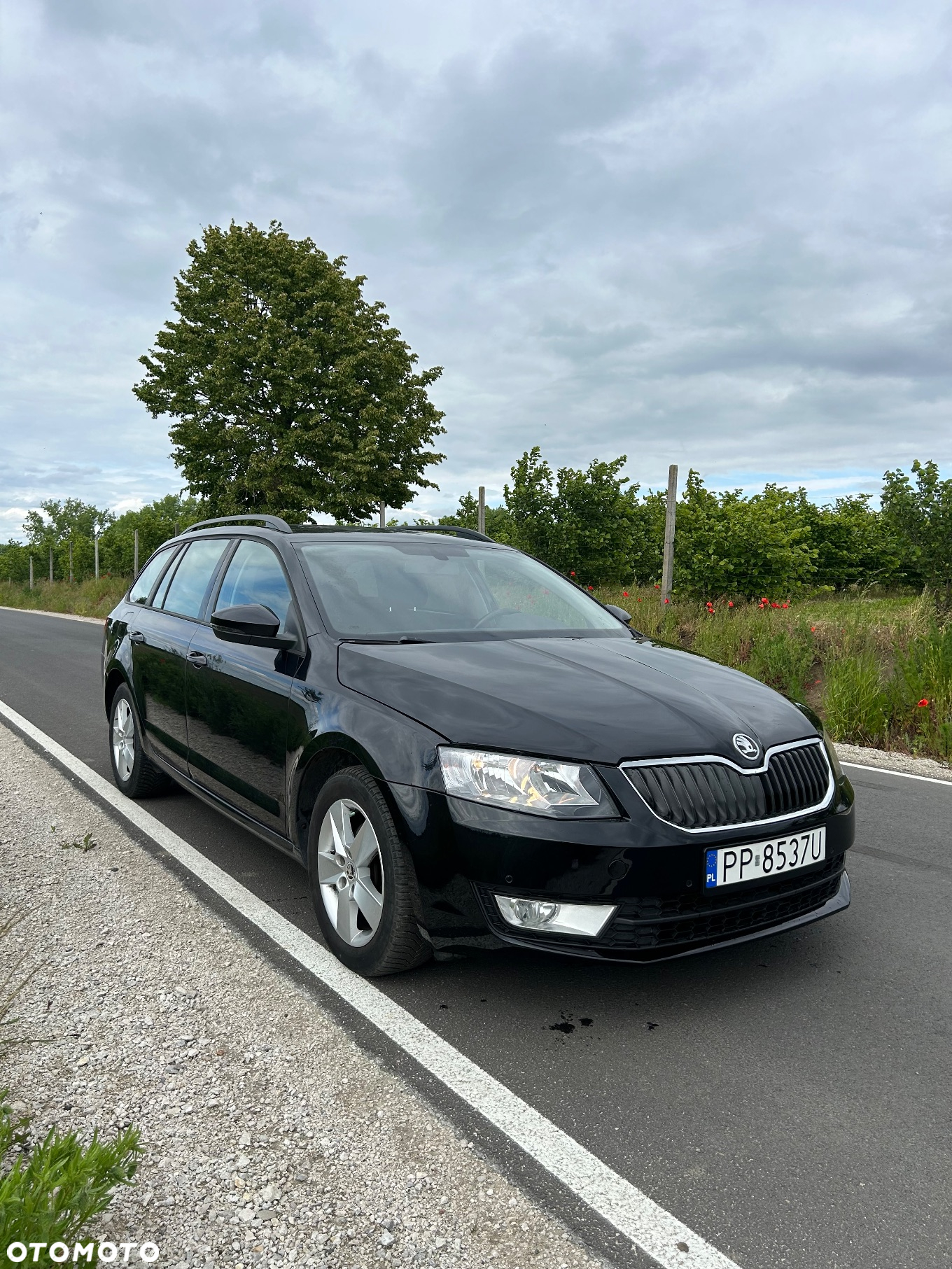 Skoda Octavia 1.4 TSI Active - 8