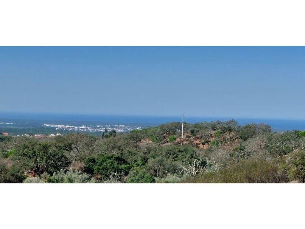 QUINTA, vista mar (5.575ha) - Grande imagem: 4/16
