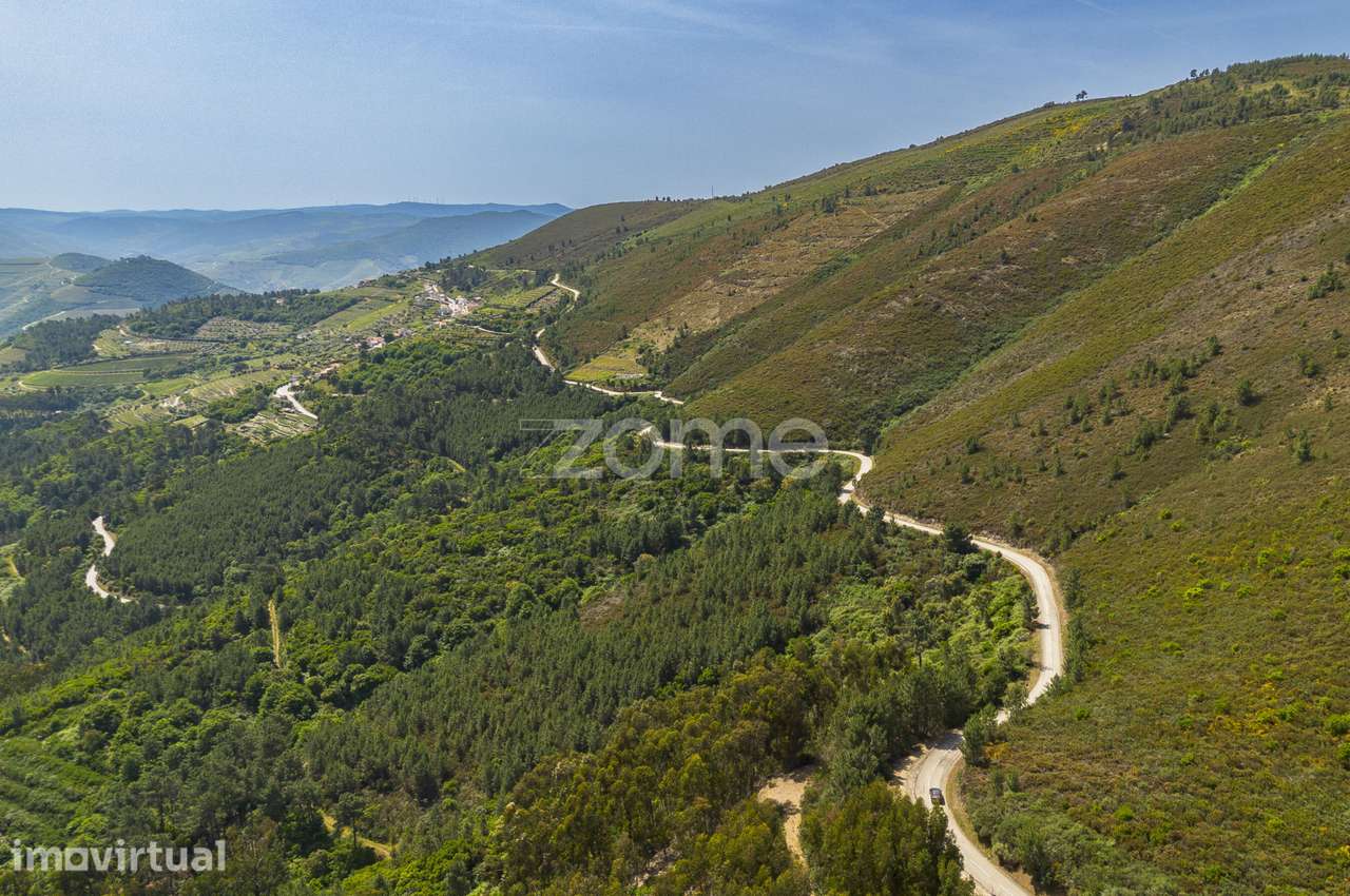 Quinta das Beatas, Gouvães do Douro - Grande imagem: 3/20
