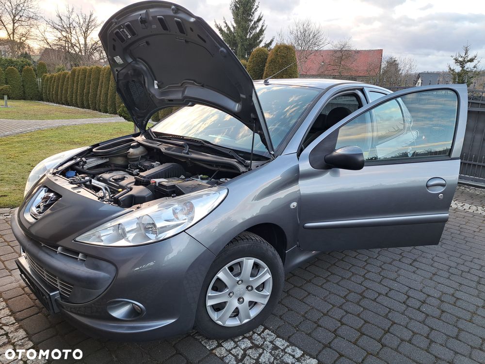 Peugeot 206 plus 60 - 36