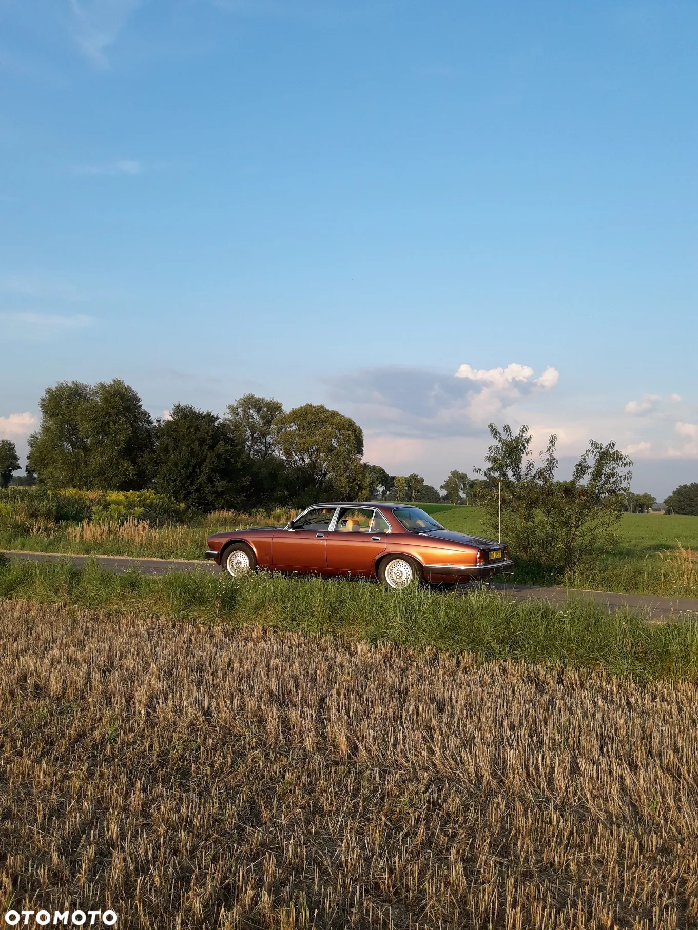 Jaguar XJ - 6