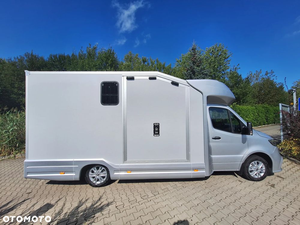 Mercedes-Benz Sprinter 319 - 3