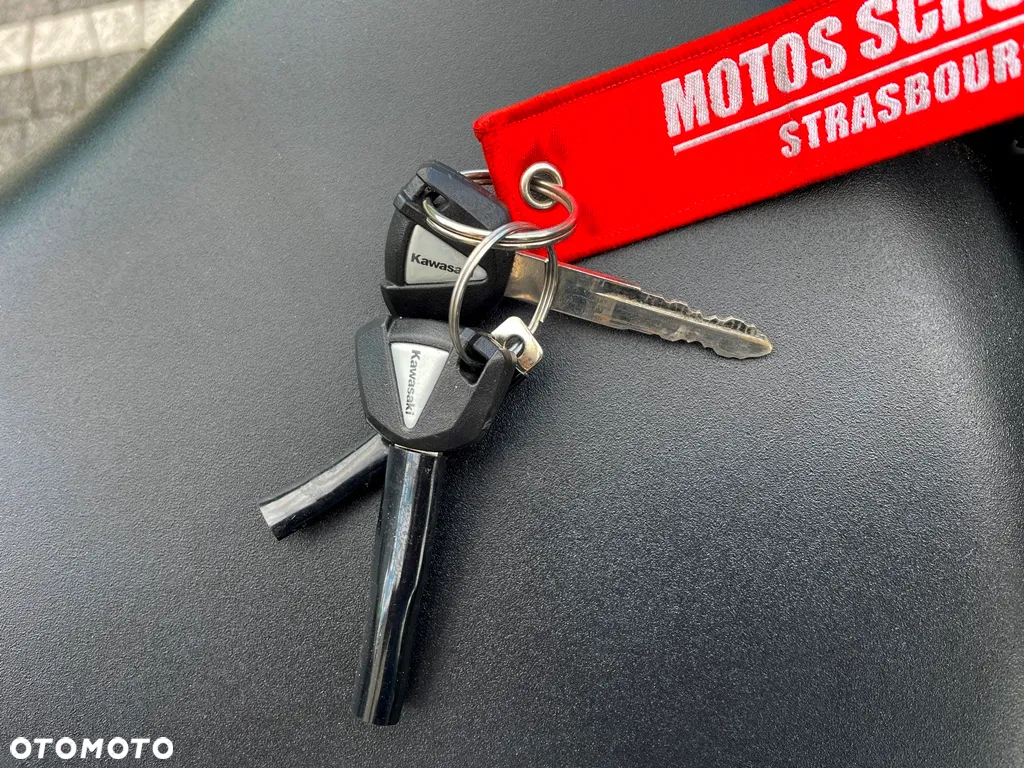 Kawasaki Ninja - 19