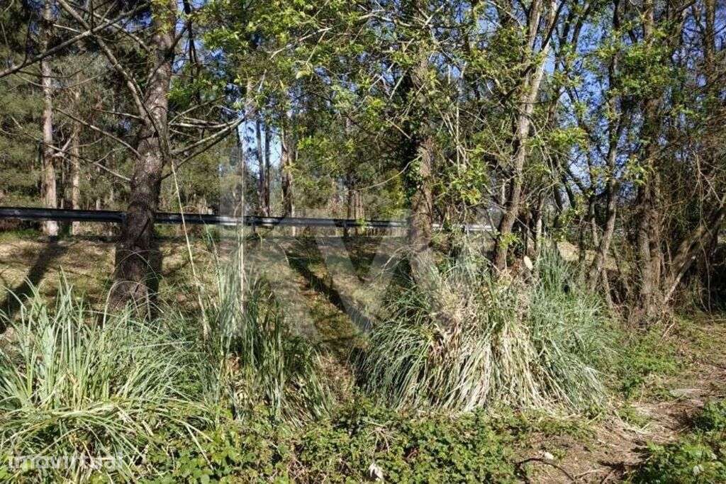 Terreno rústico com 4.080m2 na Avenida Jaime Isidoro (VL5) em Perosinh - Grande imagem: 2/20