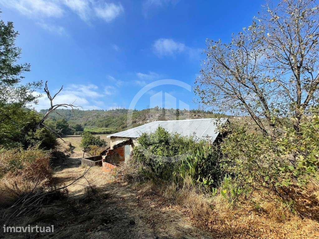 Quinta encantadora em Sameice e Santa Eulália - Grande imagem: 4/9
