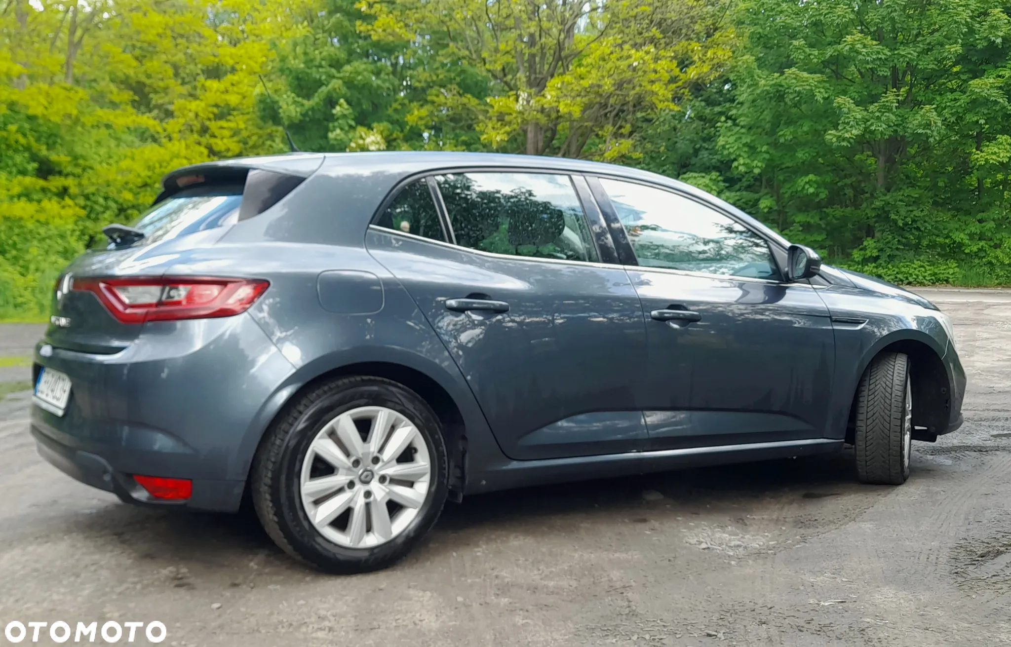 Renault Megane 1.2 Energy TCe Limited - 9