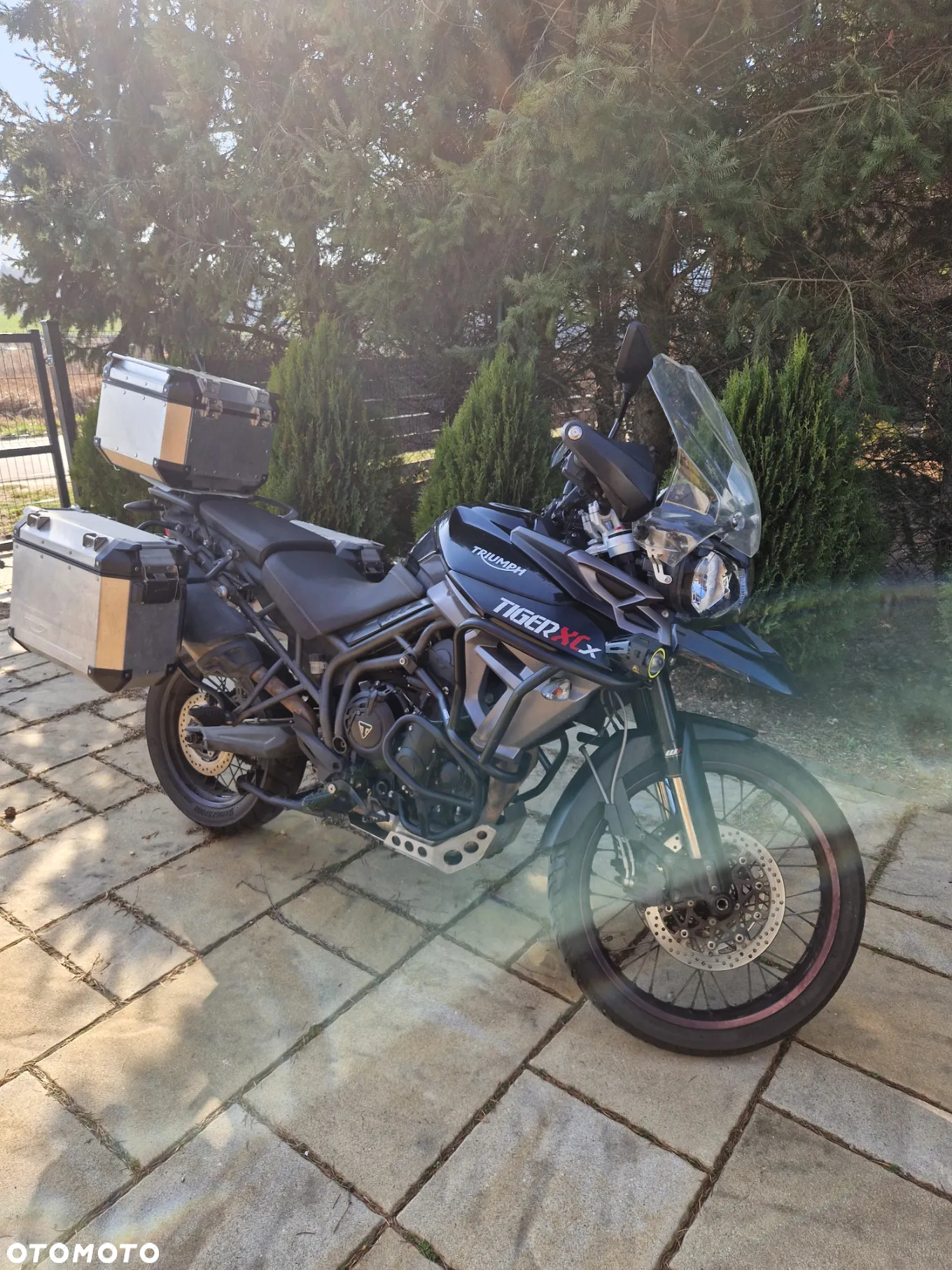 Triumph Tiger - 3