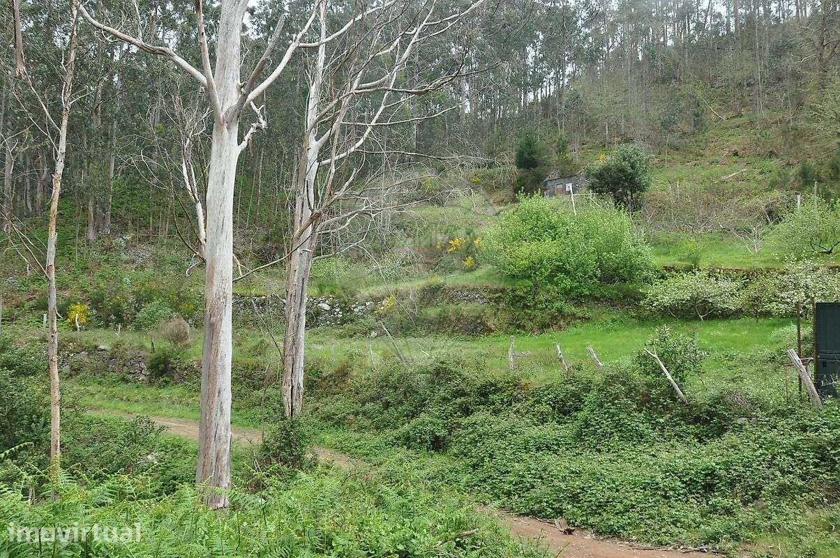 Terreno  para venda - Grande imagem: 4/16