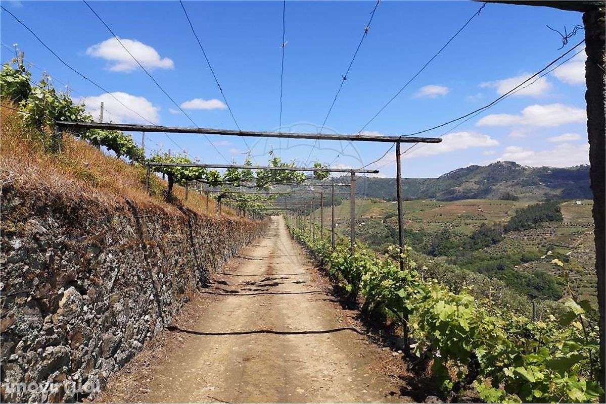 Terreno  para venda - Grande imagem: 4/27