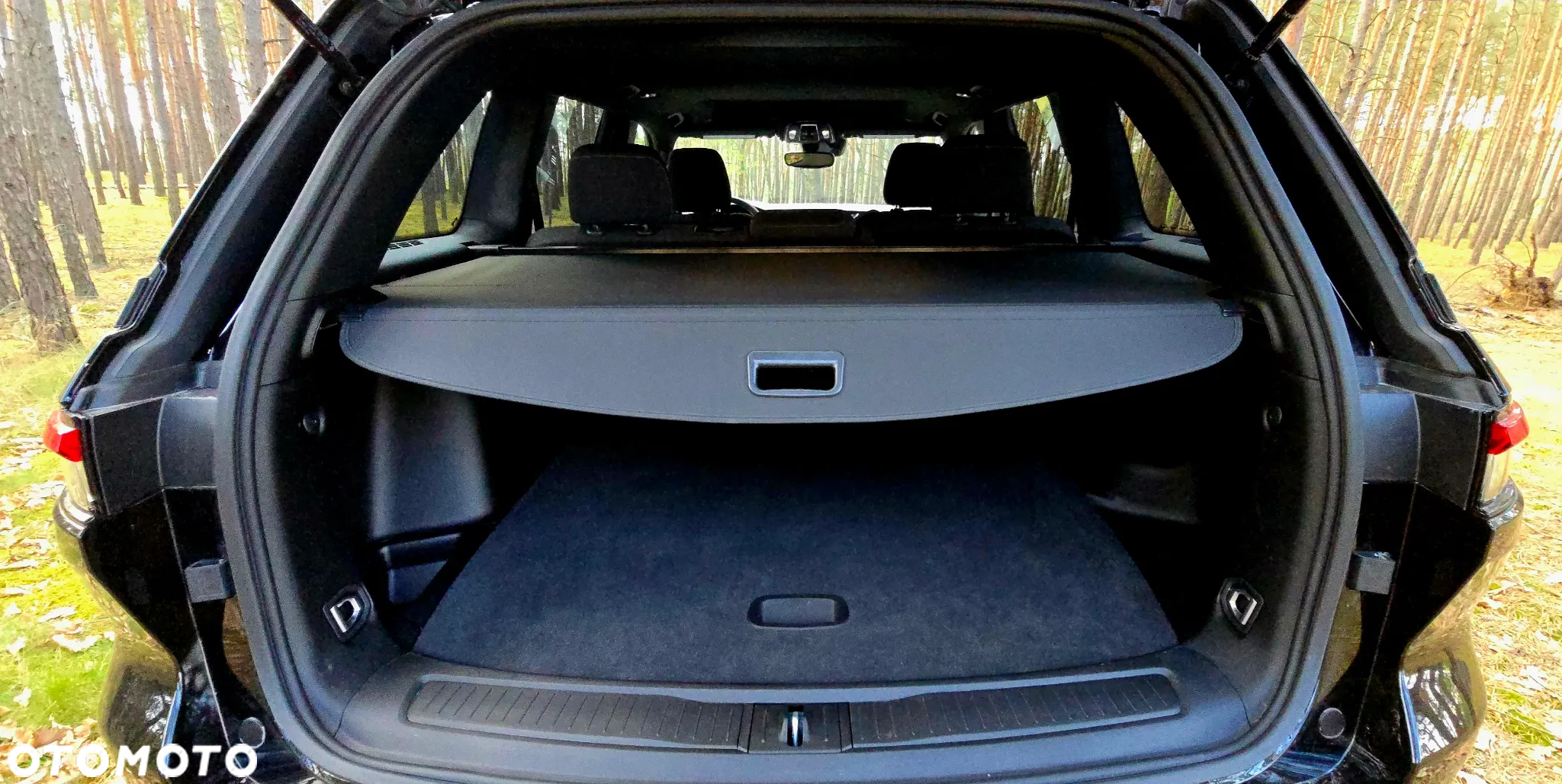 Jeep Grand Cherokee - 13