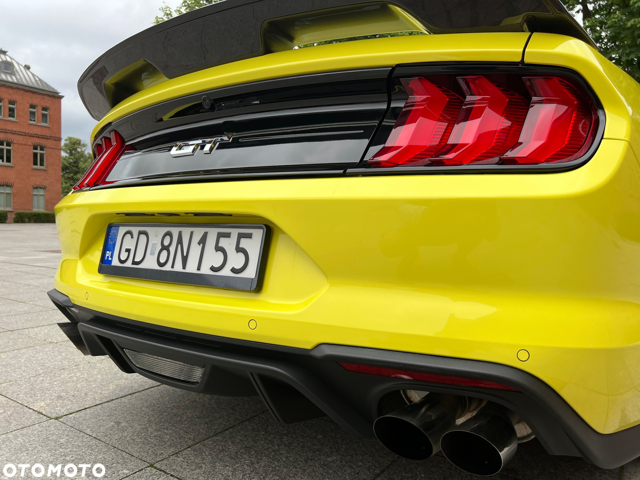 Ford Mustang 5.0 V8 Mach 1 - 25