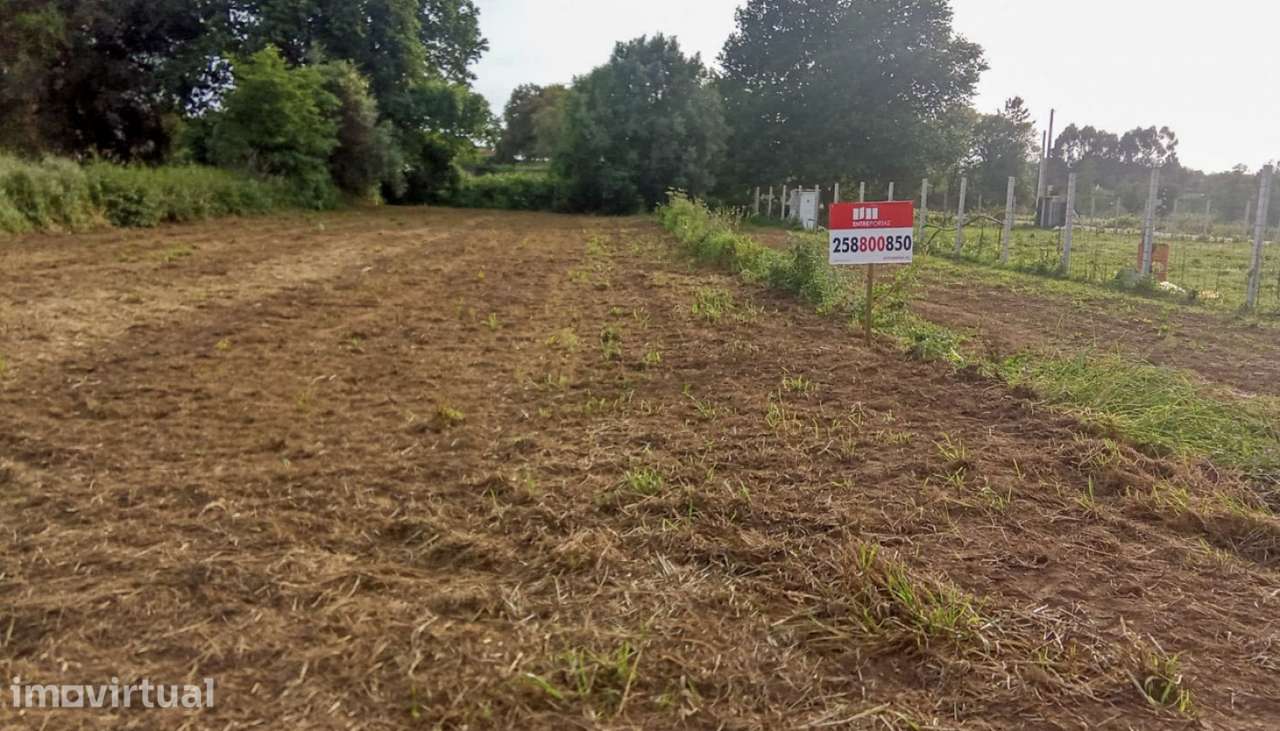 Venda de Terreno agrícola, Tregosa, Barcelos - Grande imagem: 3/18