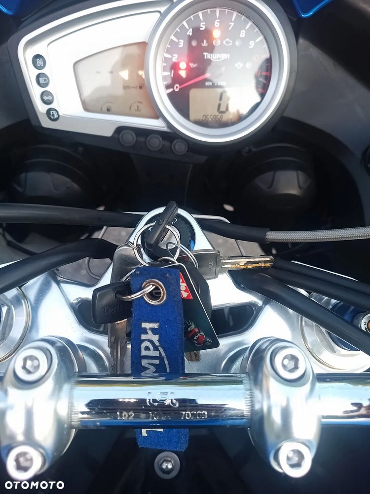 Triumph Tiger - 13