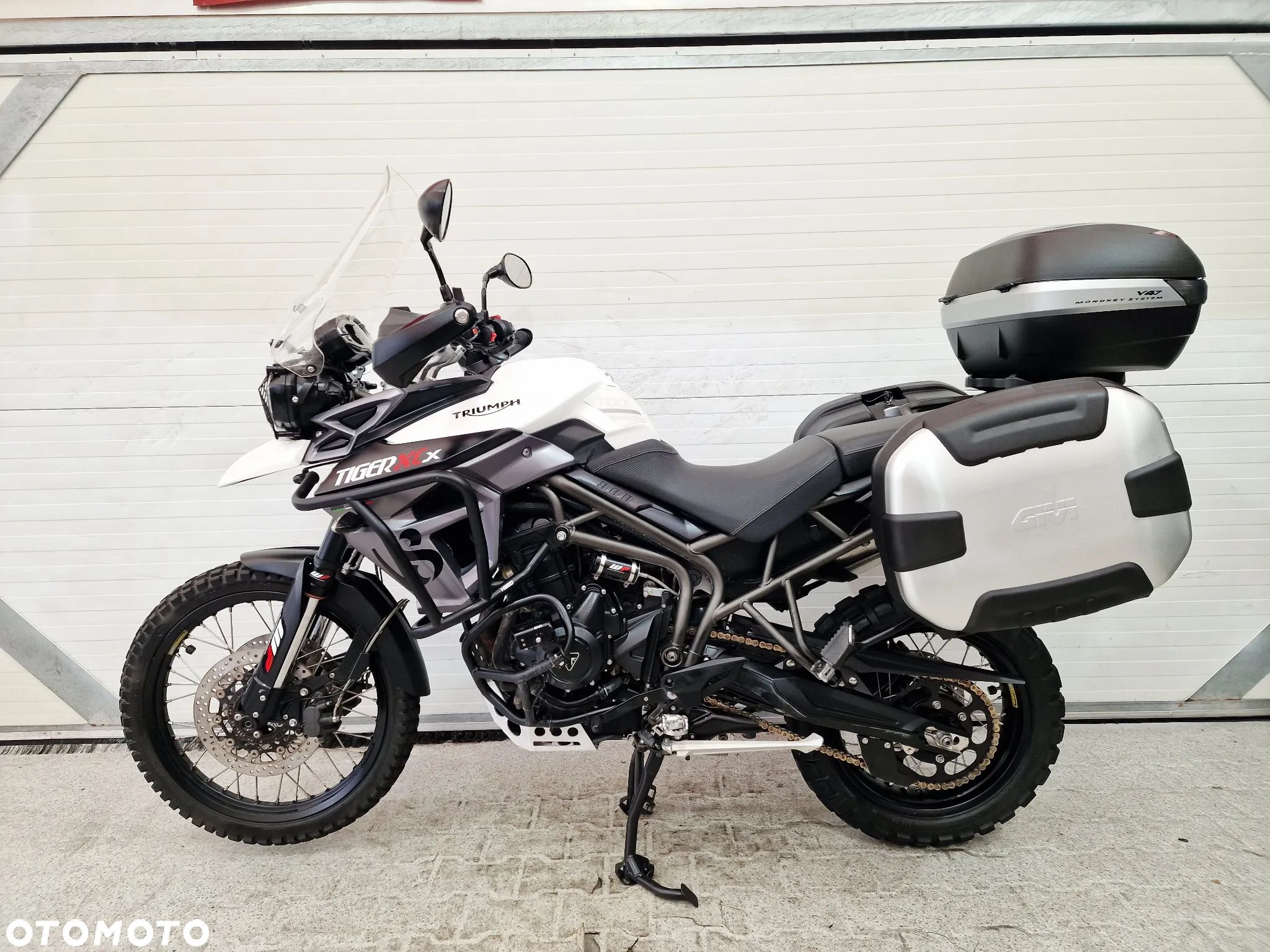 Triumph Tiger - 1