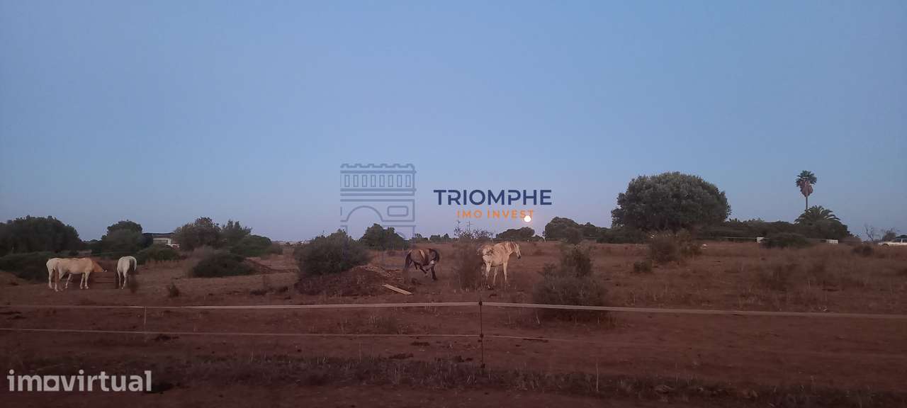 Terreno 81.600 m2 - Lagos - Grande imagem: 5/21