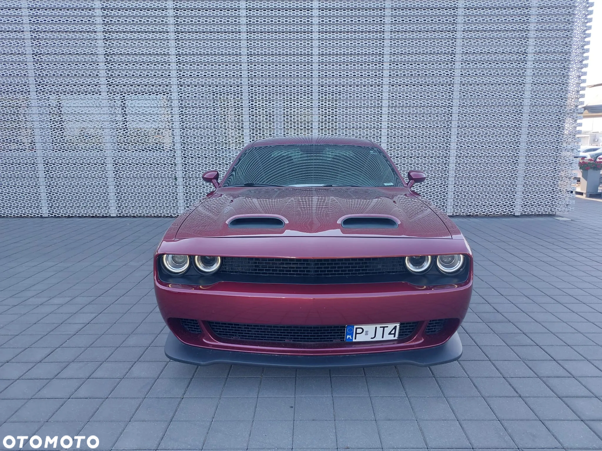 Dodge Challenger Automatik R/T Plus - 2