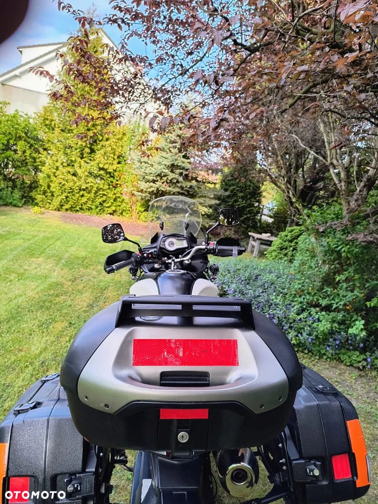 Suzuki DL - 7
