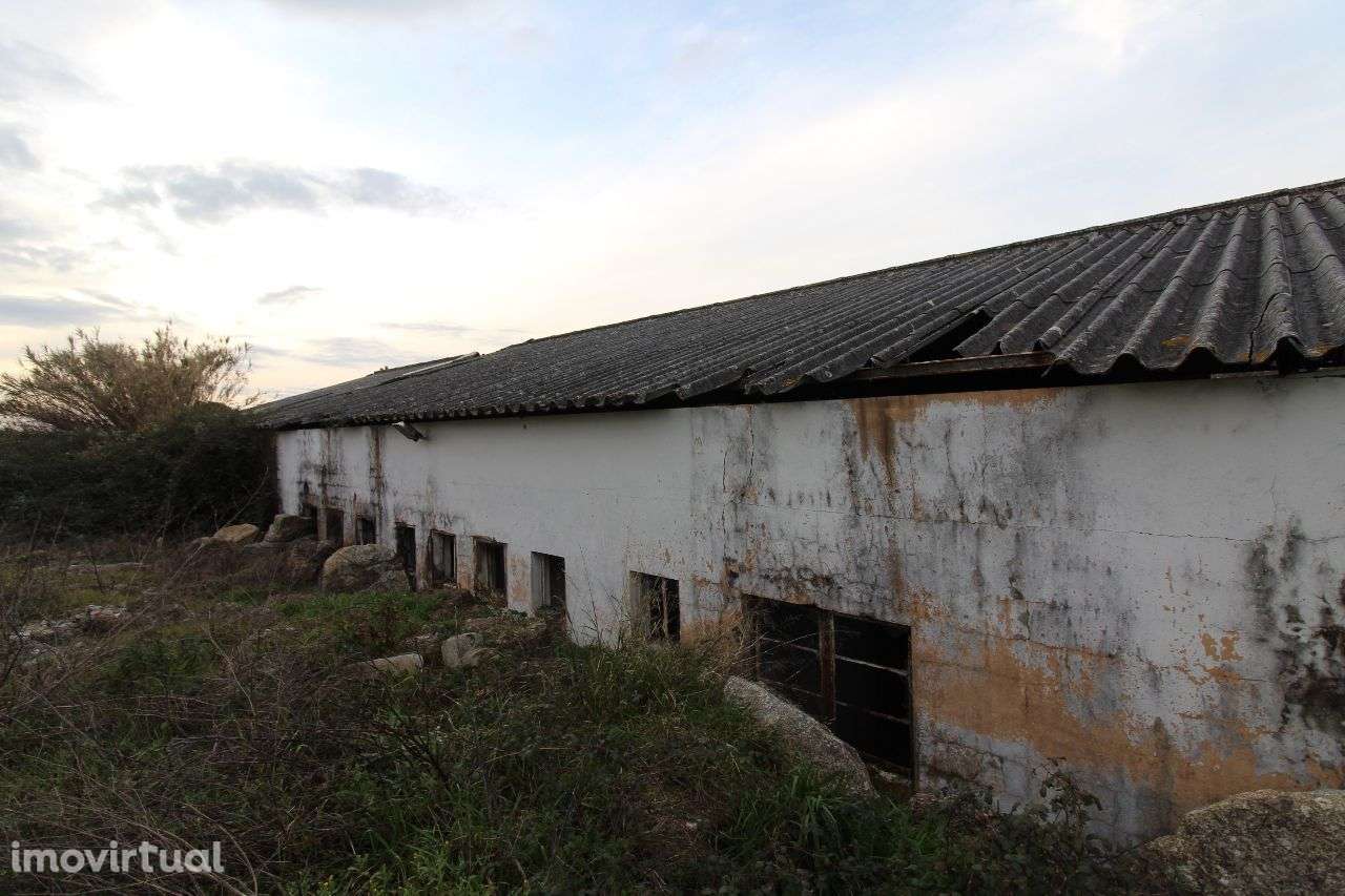 Terreno com 1 Hectare e Armazém - Grande imagem: 5/7