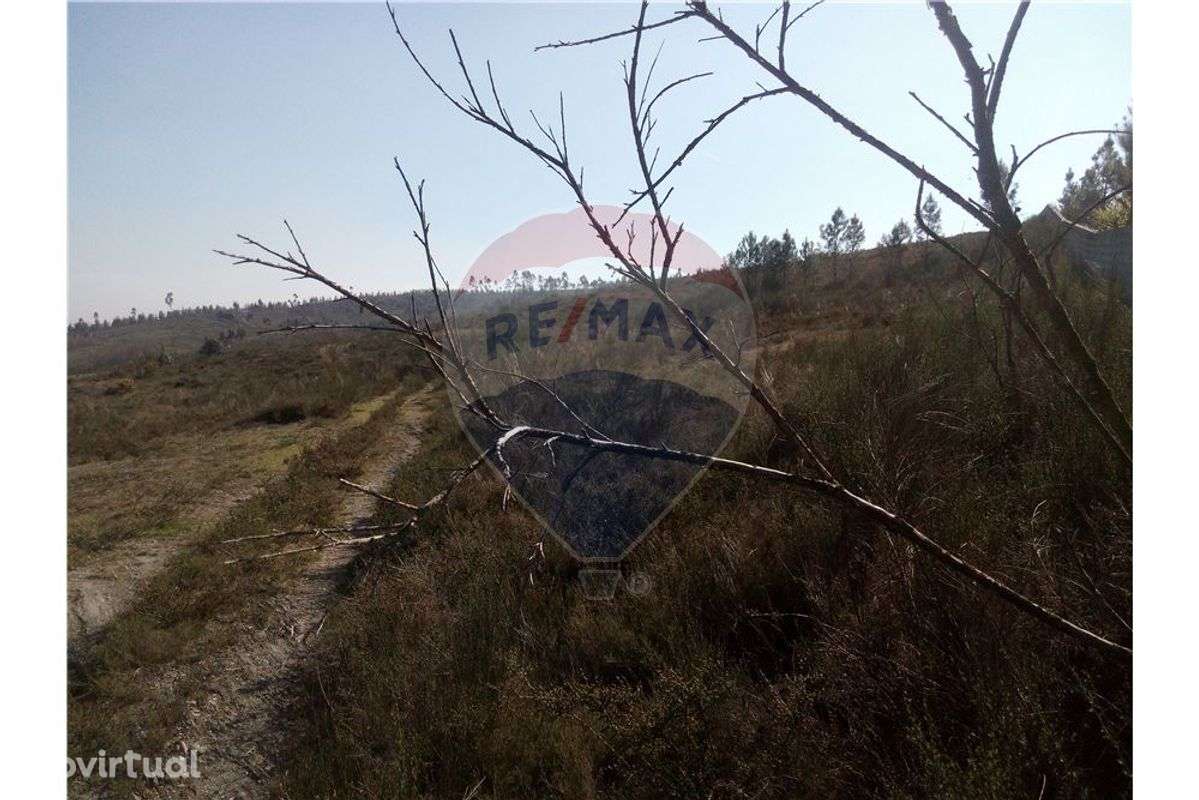 Terreno  para venda - Grande imagem: 2/8