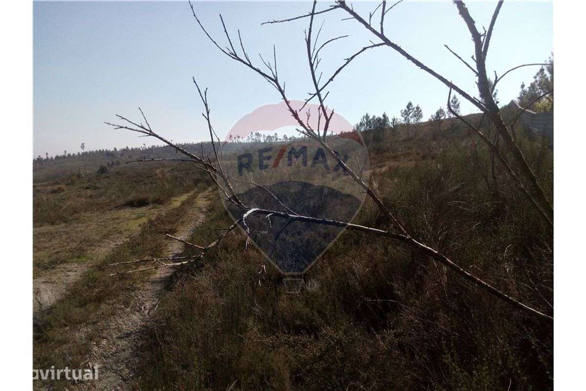 Terreno  para venda - Grande imagem: 2/8