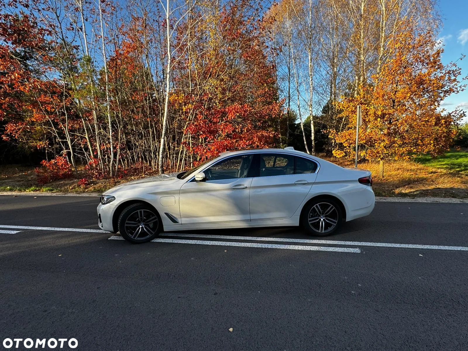 BMW Seria 5 ver-530e-luxury-line-sport - 14