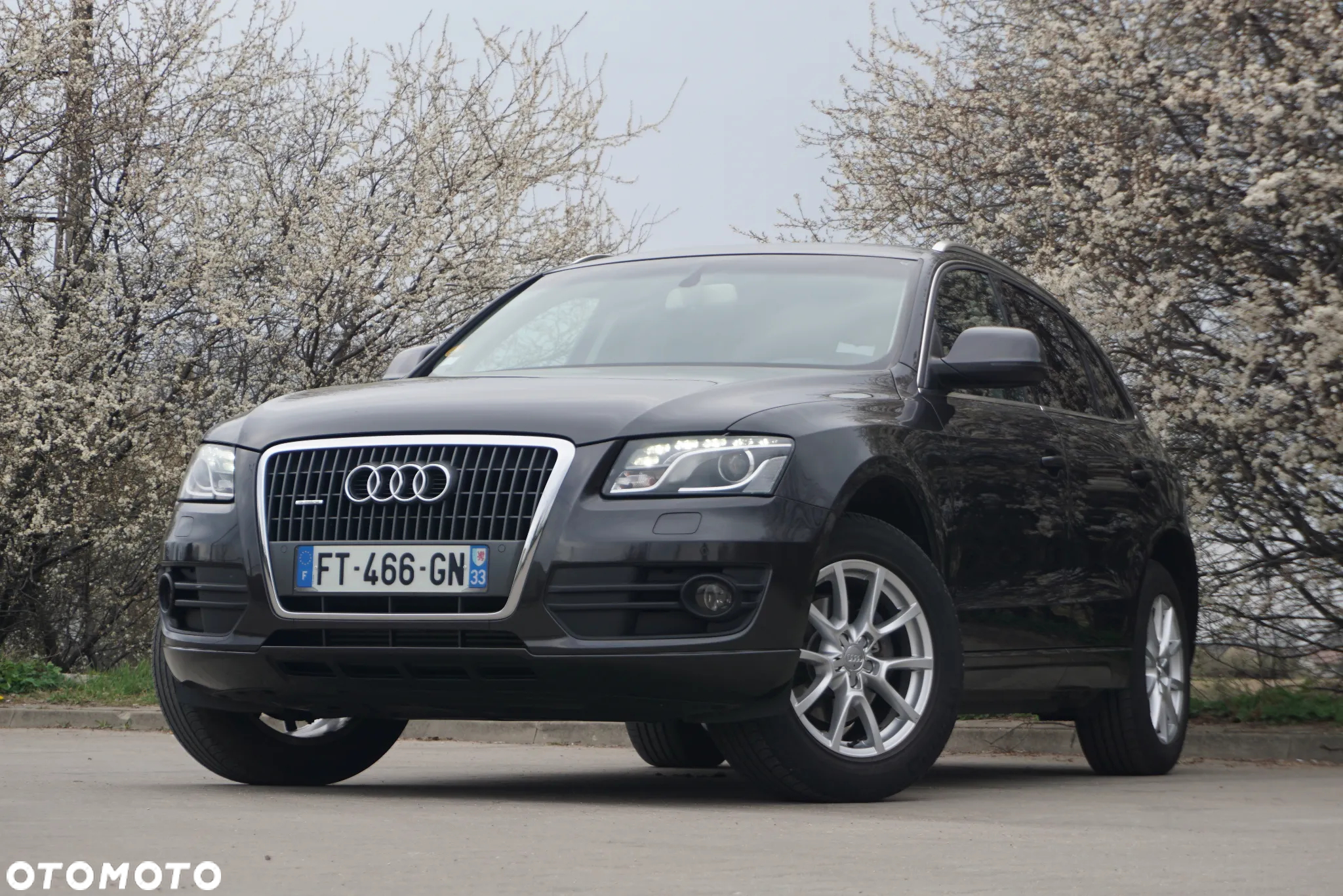 Audi Q5 2.0 TDI Quattro S tronic Prime Line - 7