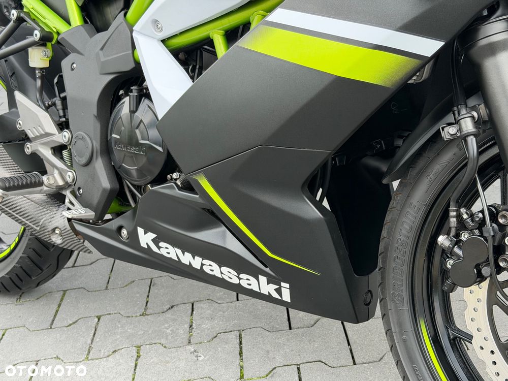 Kawasaki Ninja - 18
