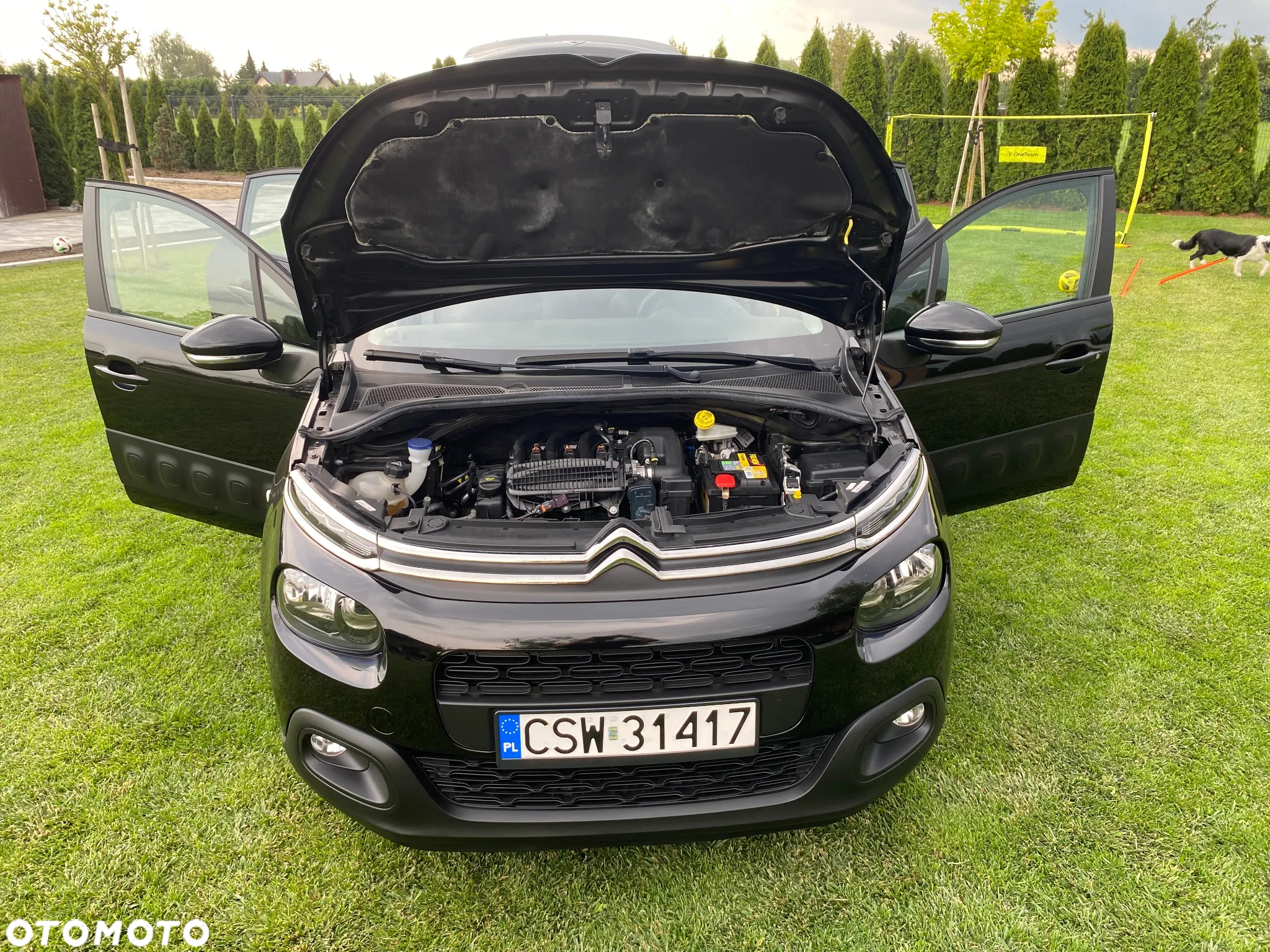 Citroën C3 1.2 PureTech GPF Shine - 37