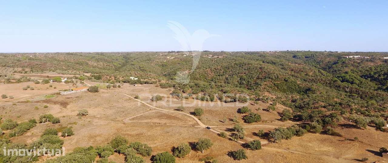 Terreno rustico com 16,85 hectares a 10 minutos de Melides - Grande imagem: 4/12