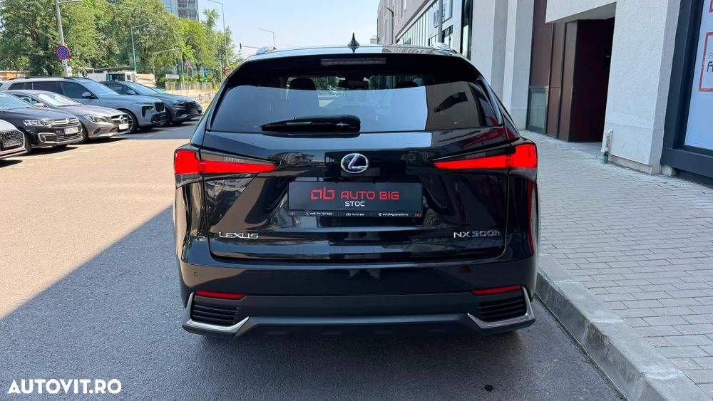 Lexus Seria NX - 8
