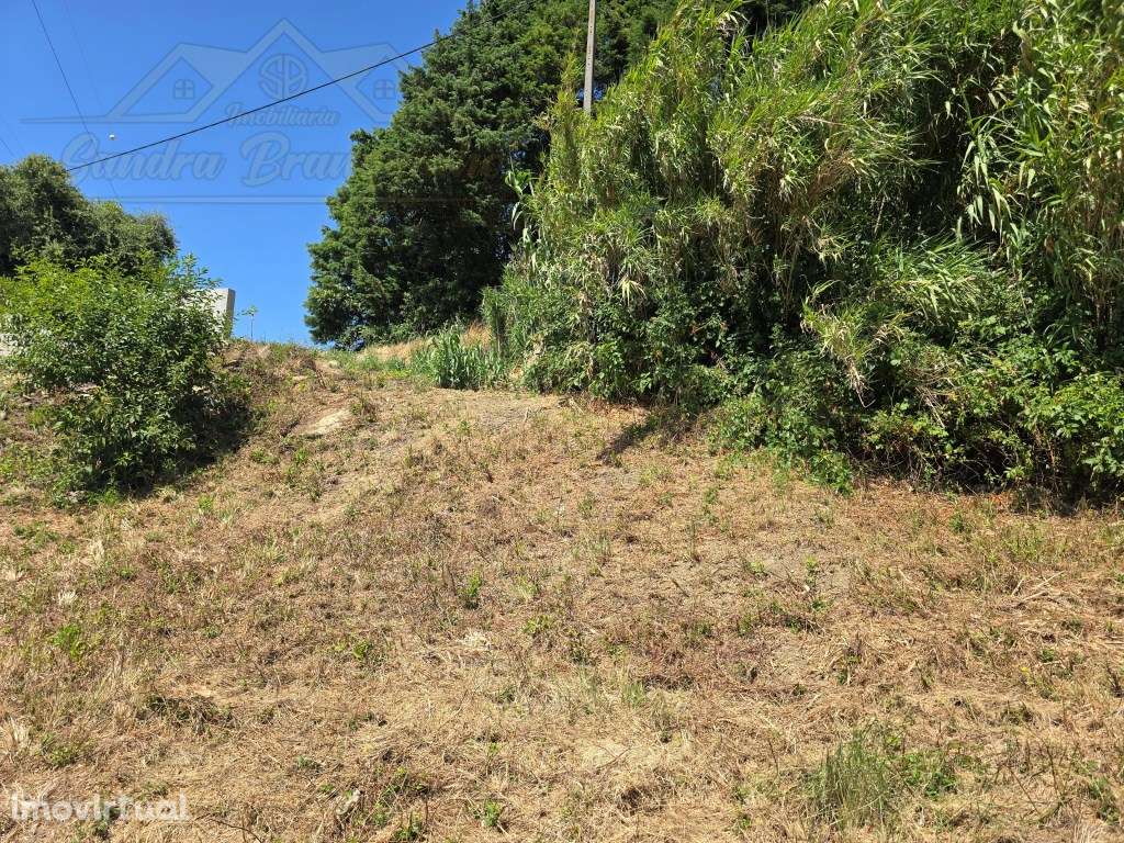 Terreno urbanizável para MORADIA - Grande imagem: 5/12